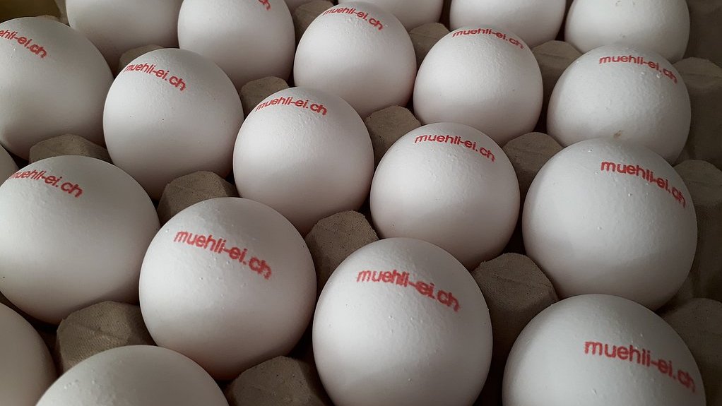 Legehennen und Eierproduktion weisse Freilandeier